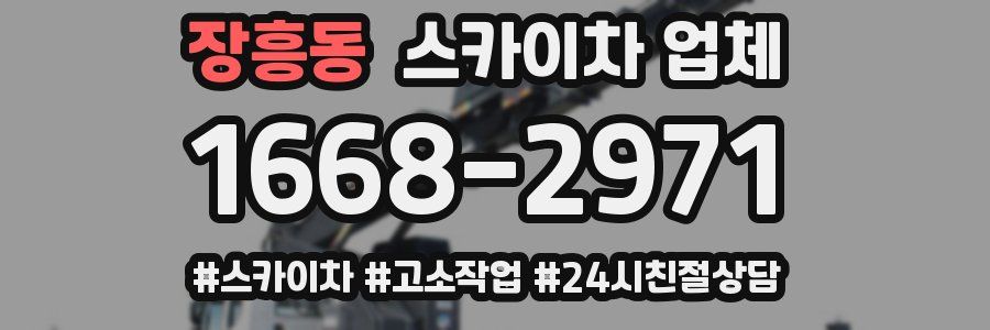 장흥동 스카이차 업체