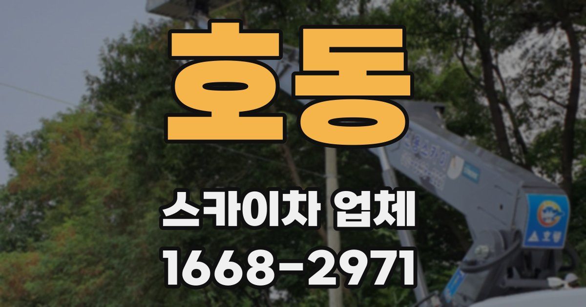 호동 스카이차 업체