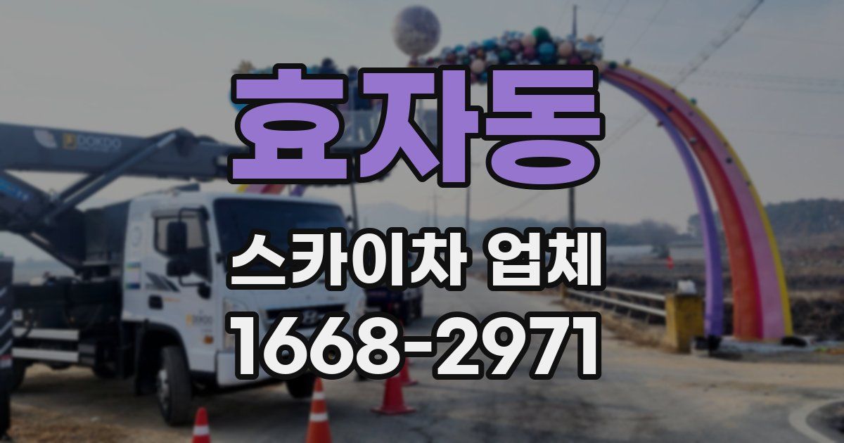 효자동 스카이차 업체