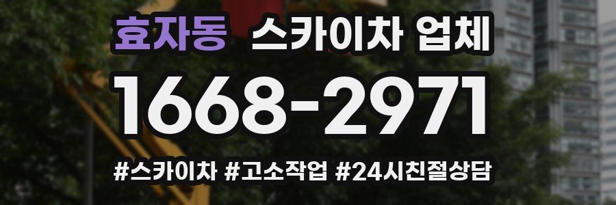 효자동 스카이차 업체