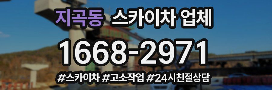 지곡동 스카이차 업체
