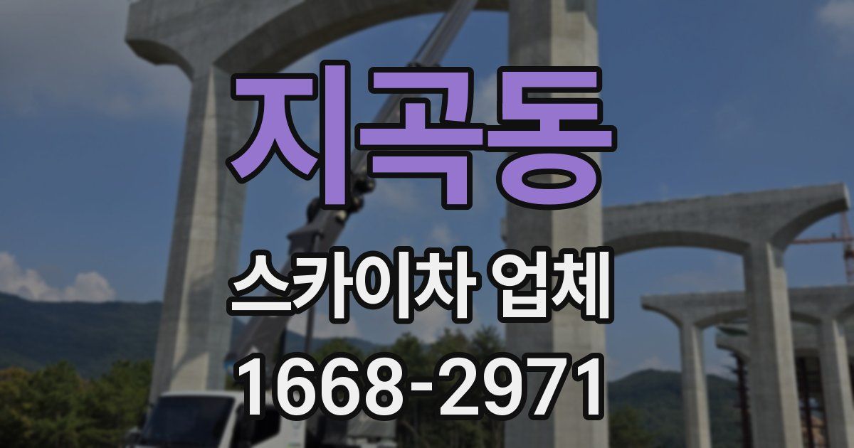 지곡동 스카이차 업체