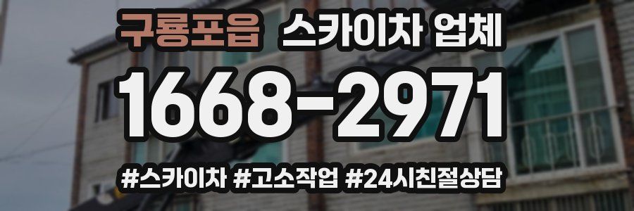구룡포읍 스카이차 업체