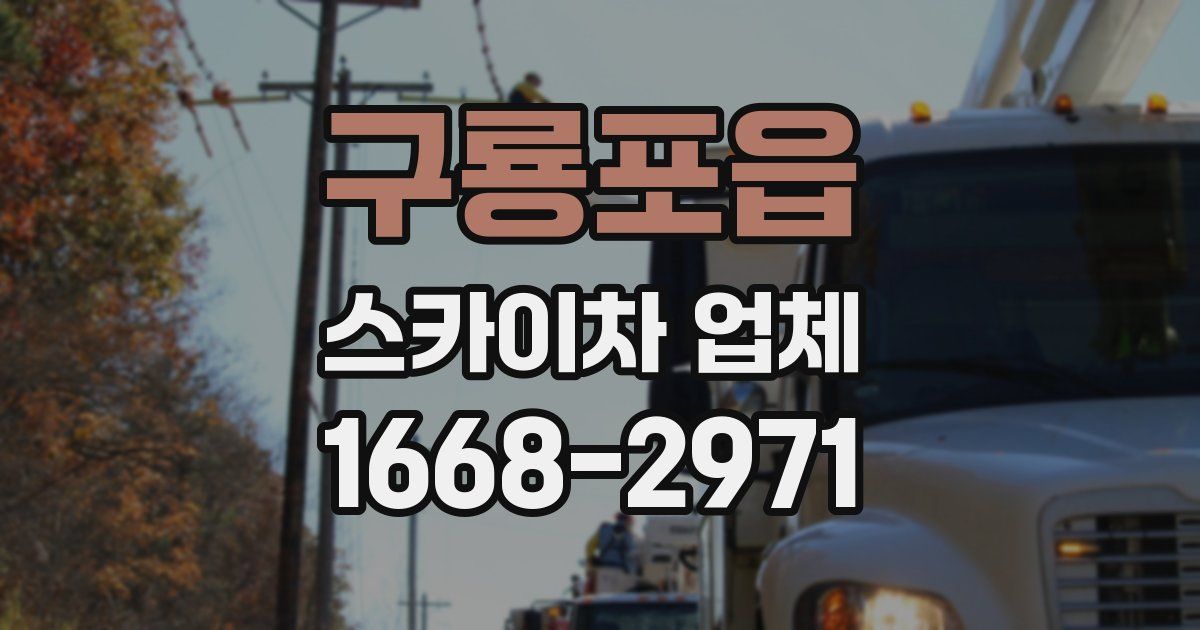 구룡포읍 스카이차 업체
