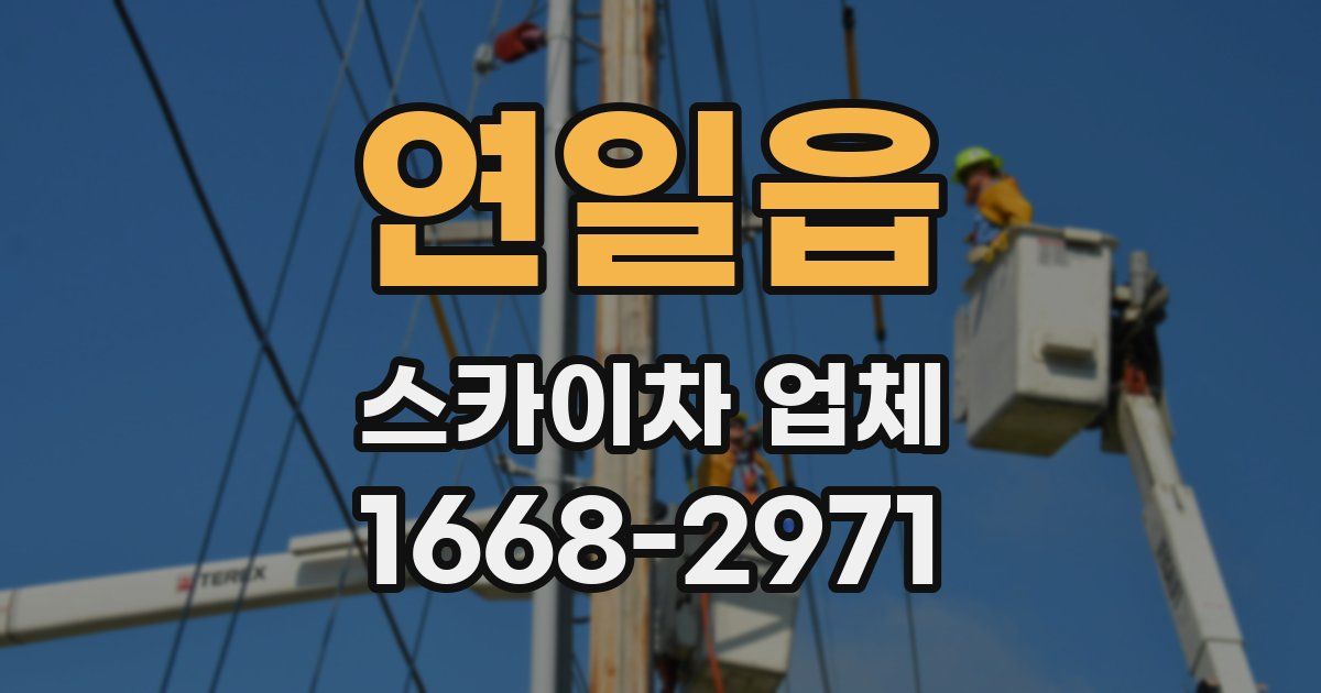 연일읍 스카이차 업체
