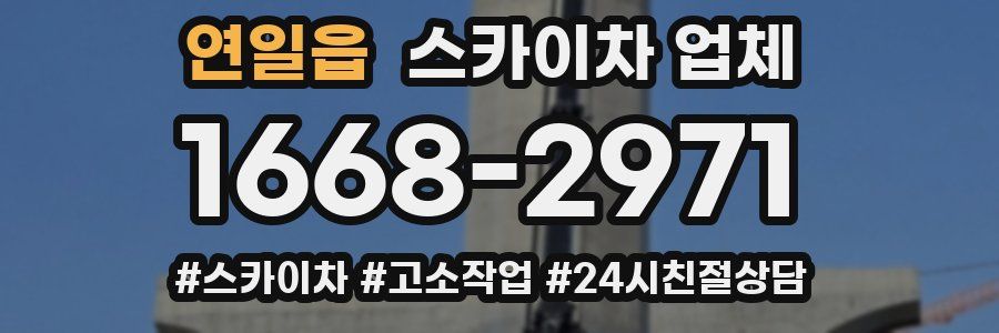 연일읍 스카이차 업체
