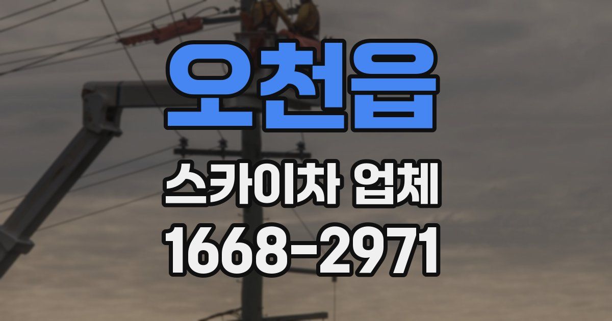 오천읍 스카이차 업체