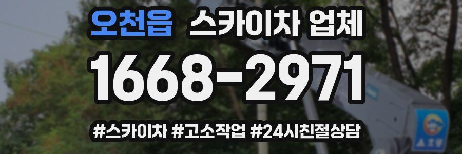 오천읍 스카이차 업체