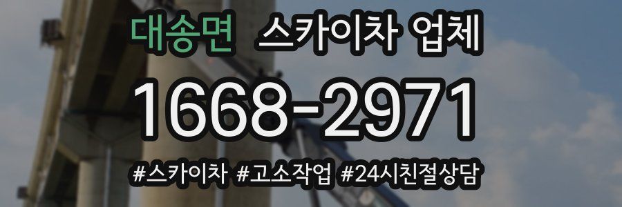 대송면 스카이차 업체