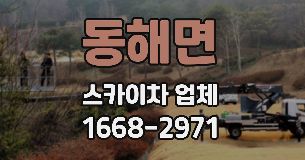 동해면 스카이차 업체