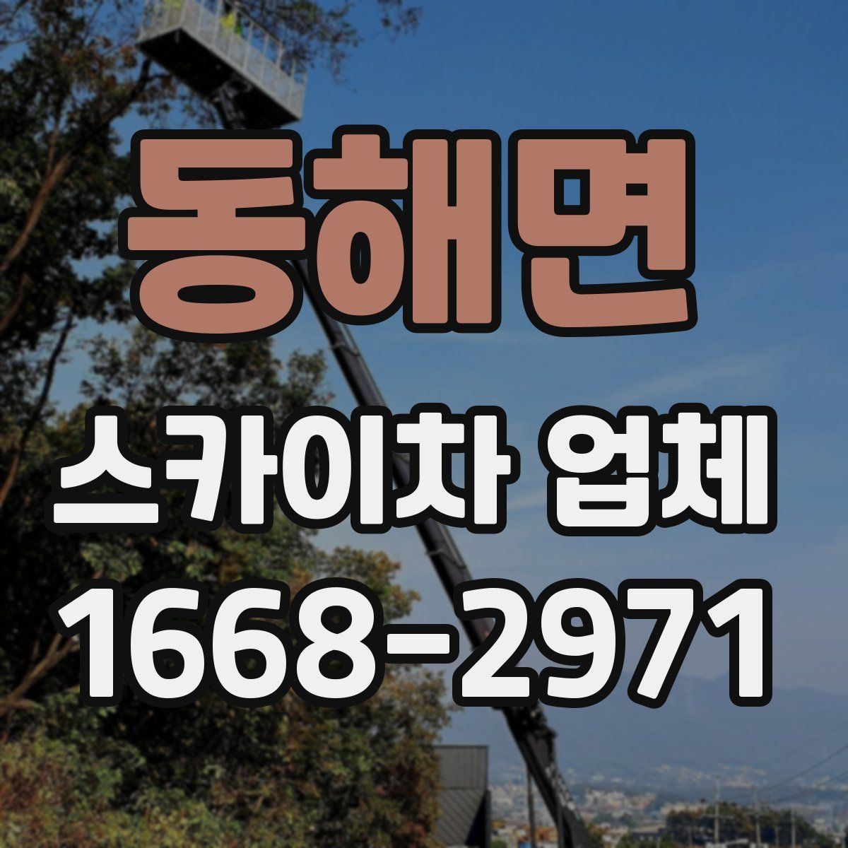 동해면 스카이차 업체