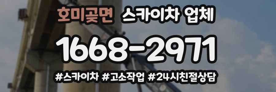 호미곶면 스카이차 업체