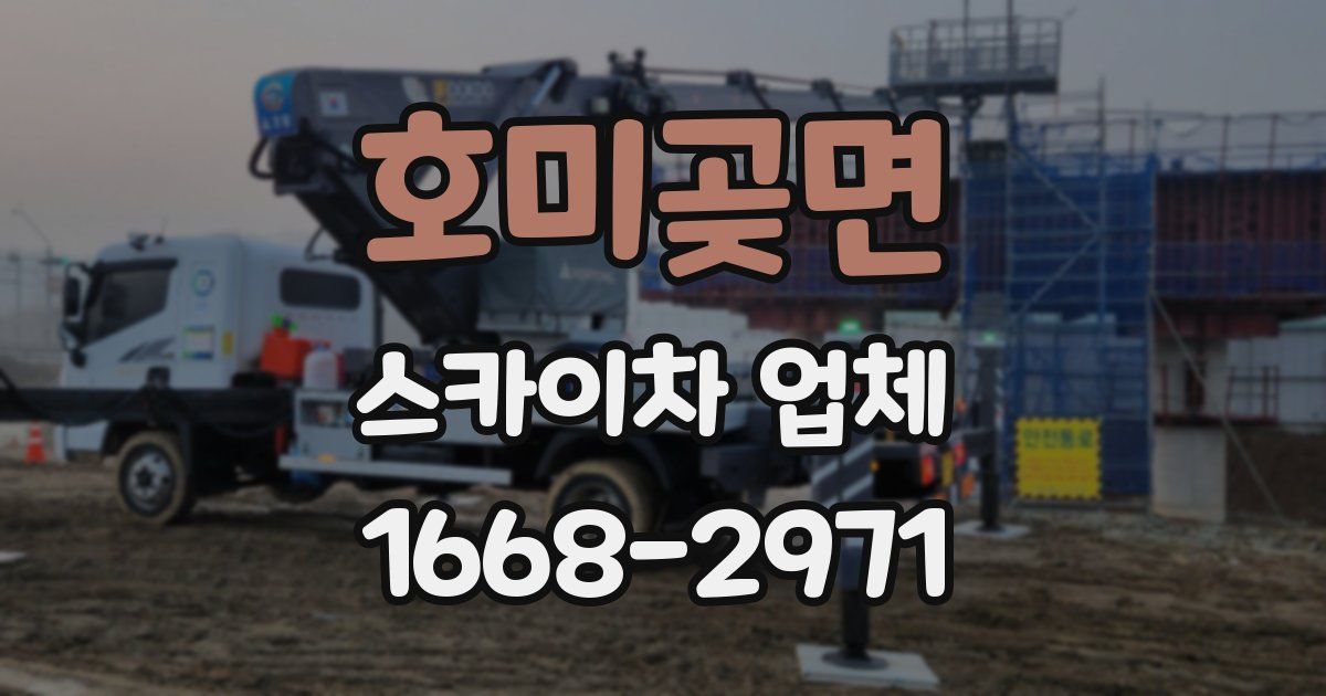 호미곶면 스카이차 업체