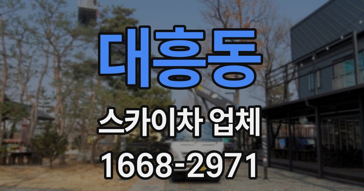 대흥동 스카이차 업체