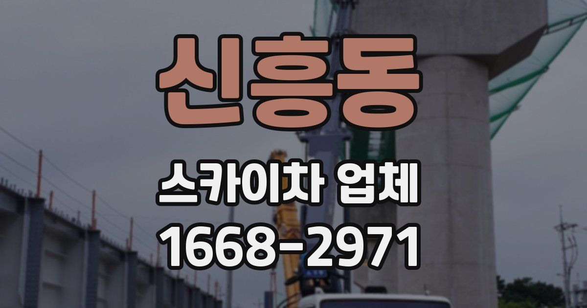신흥동 스카이차 업체