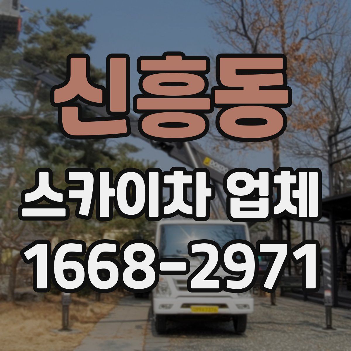 신흥동 스카이차 업체