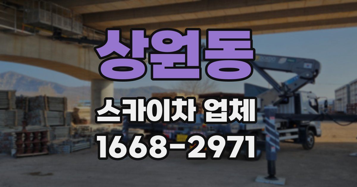 상원동 스카이차 업체