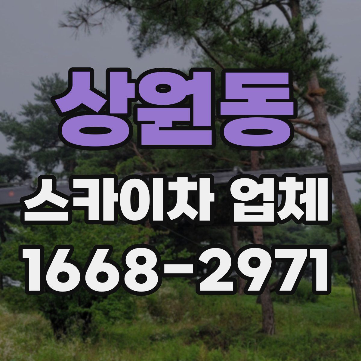 상원동 스카이차 업체
