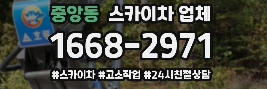 중앙동 스카이차 업체