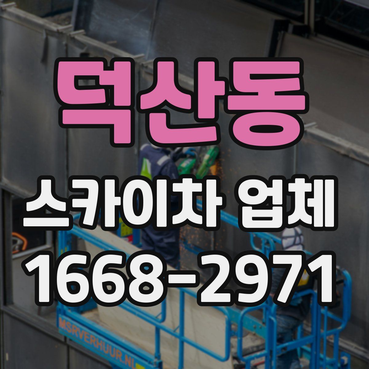 덕산동 스카이차 업체