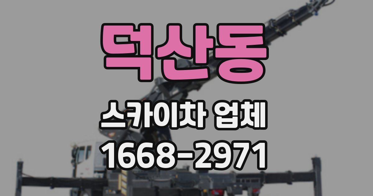 덕산동 스카이차 업체