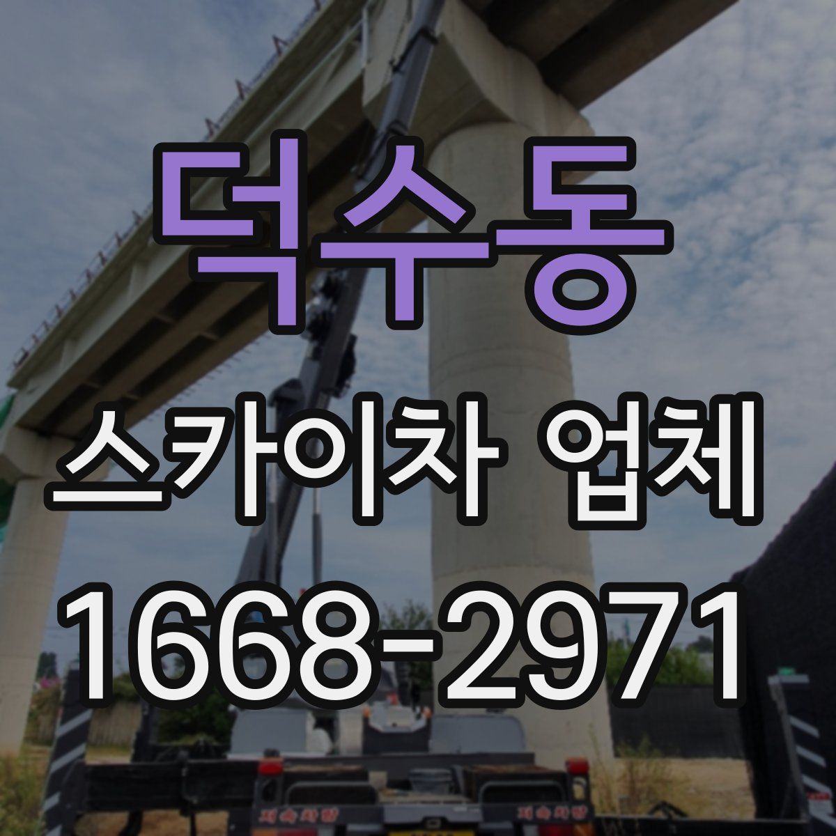 덕수동 스카이차 업체