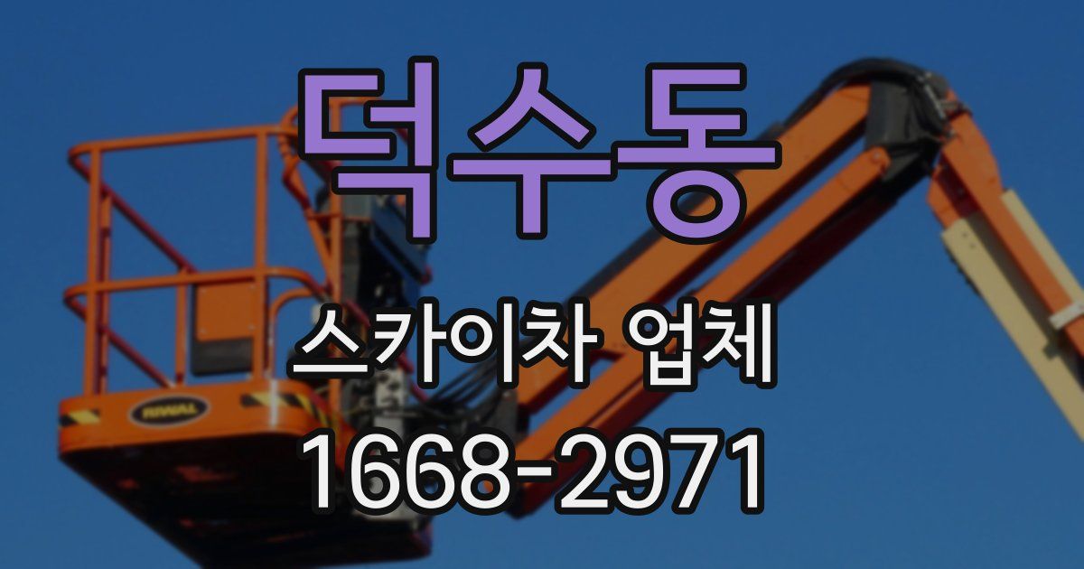 덕수동 스카이차 업체