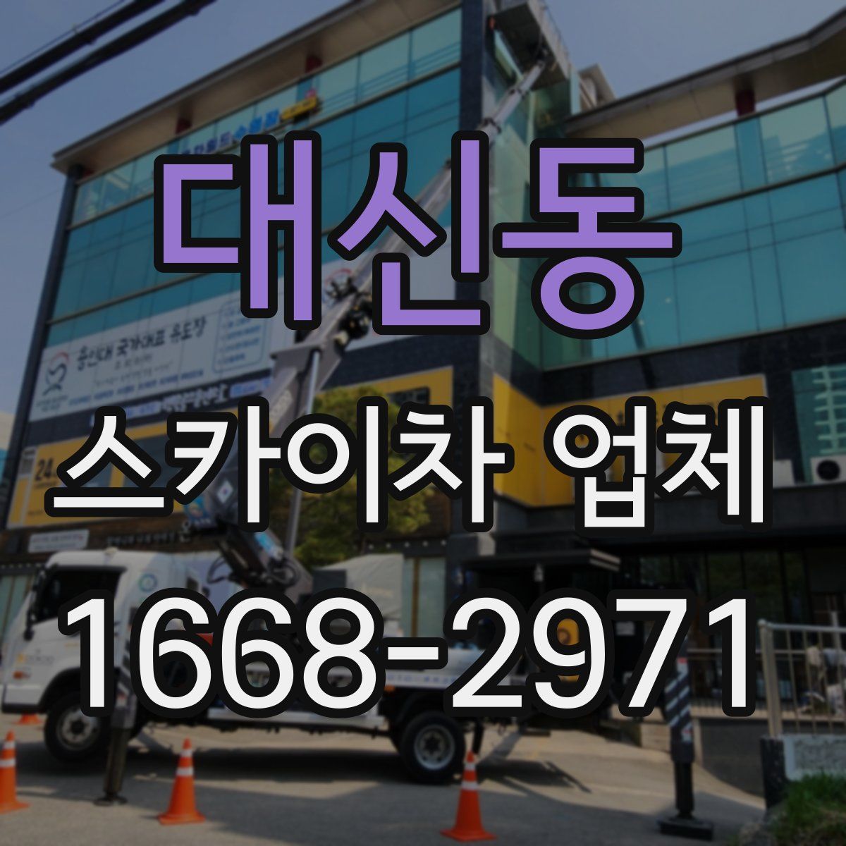 대신동 스카이차 업체