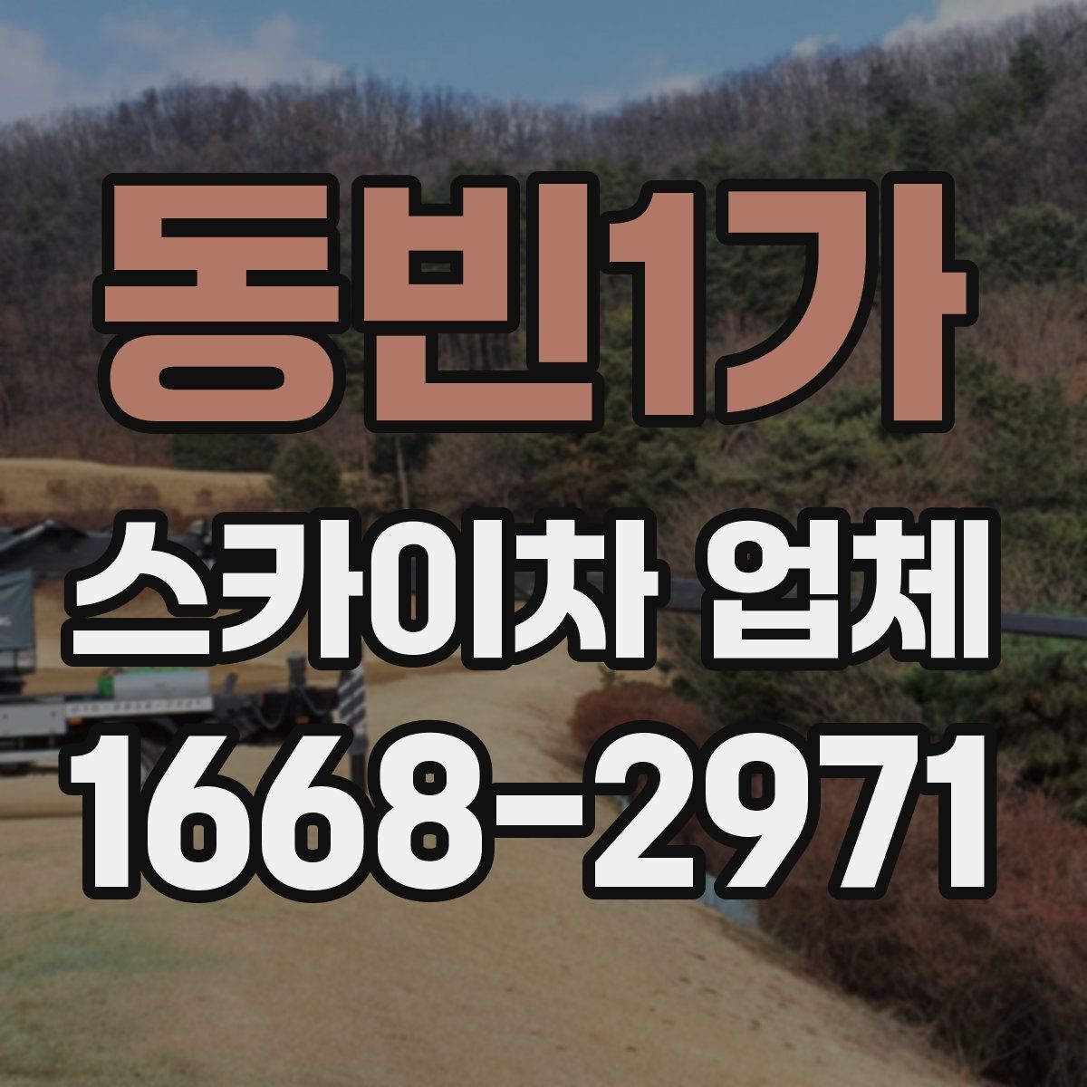 동빈1가 스카이차 업체