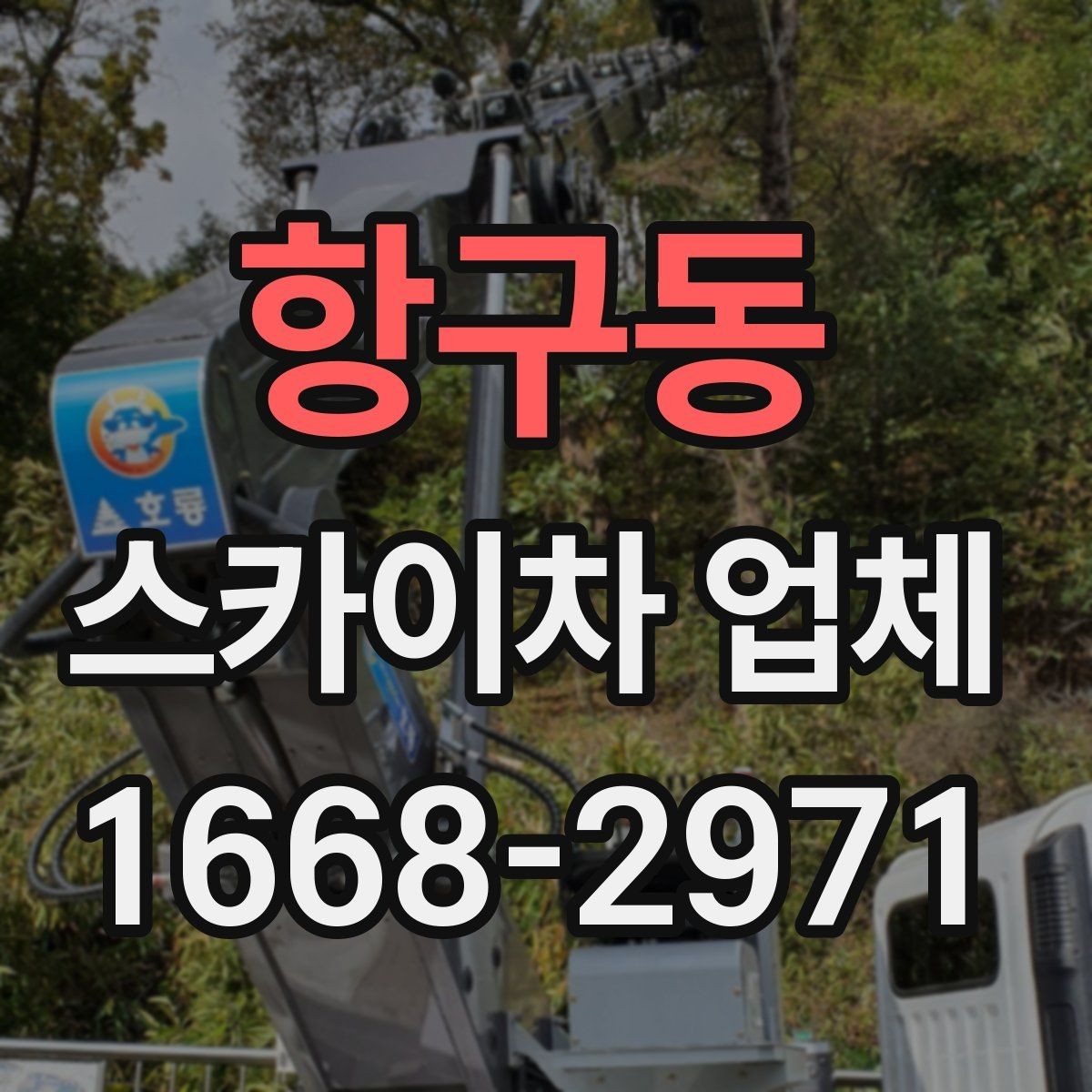 항구동 스카이차 업체 후기에서 자주 보는 포인트