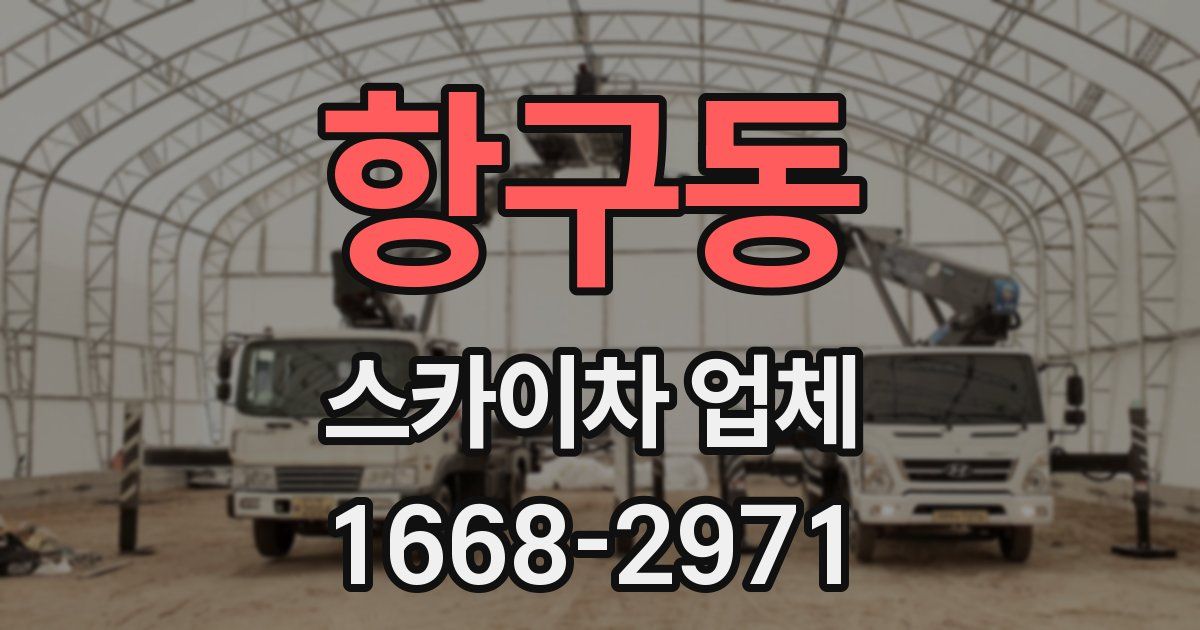 항구동 스카이차 업체