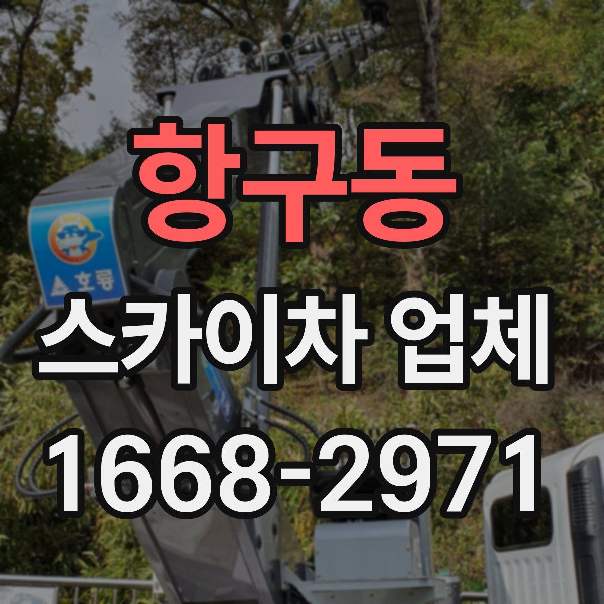 항구동 스카이차 업체