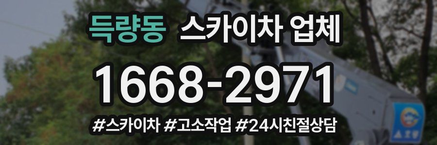 득량동 스카이차 업체