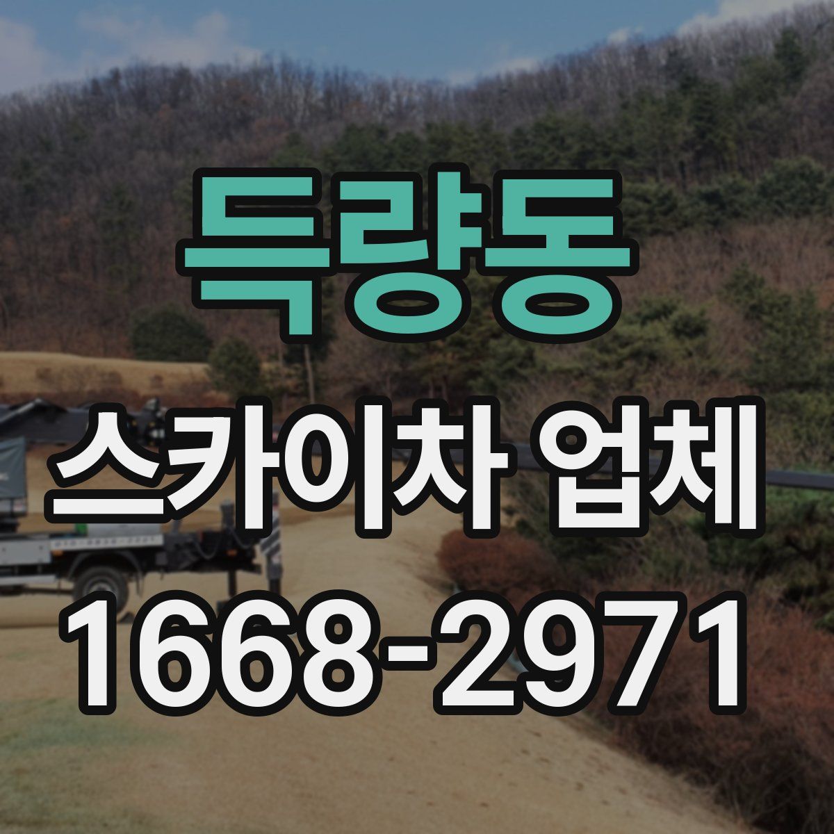 득량동 스카이차 업체