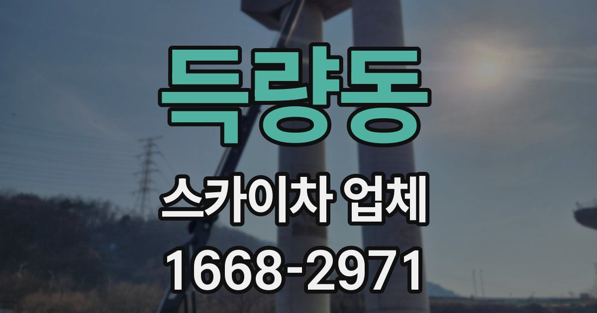 득량동 스카이차 업체