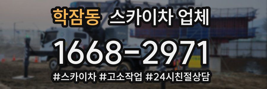 학잠동 스카이차 업체
