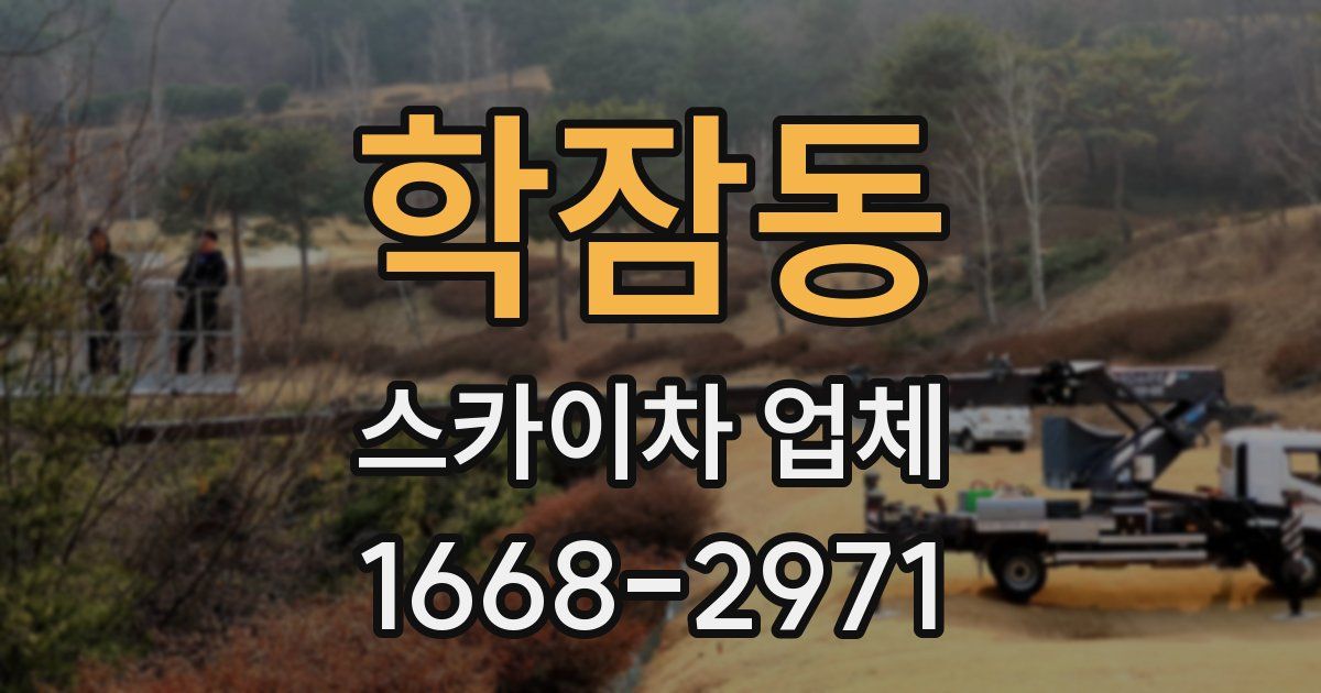 학잠동 스카이차 업체