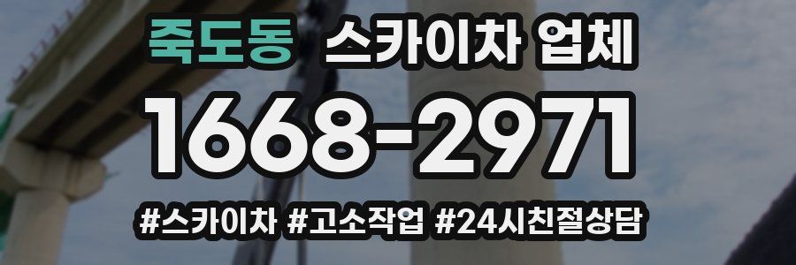 죽도동 스카이차 업체