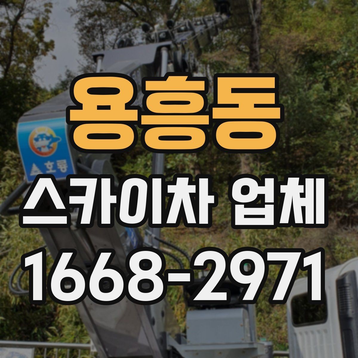 용흥동 스카이차 업체 비교 기준으로 자주 놓치는 부분