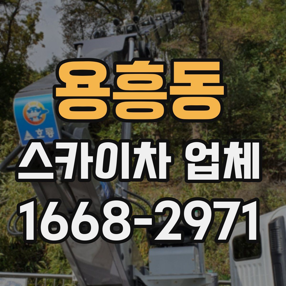 용흥동 스카이차 업체