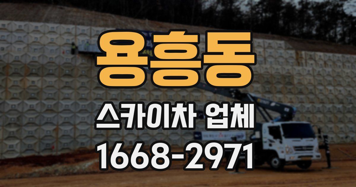 용흥동 스카이차 업체