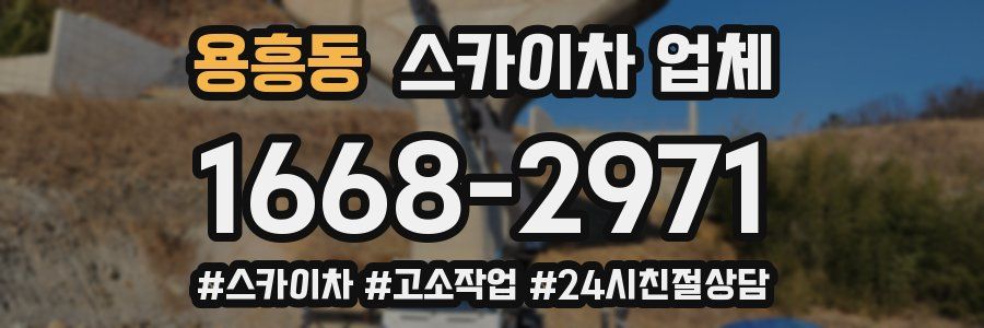 용흥동 스카이차 업체