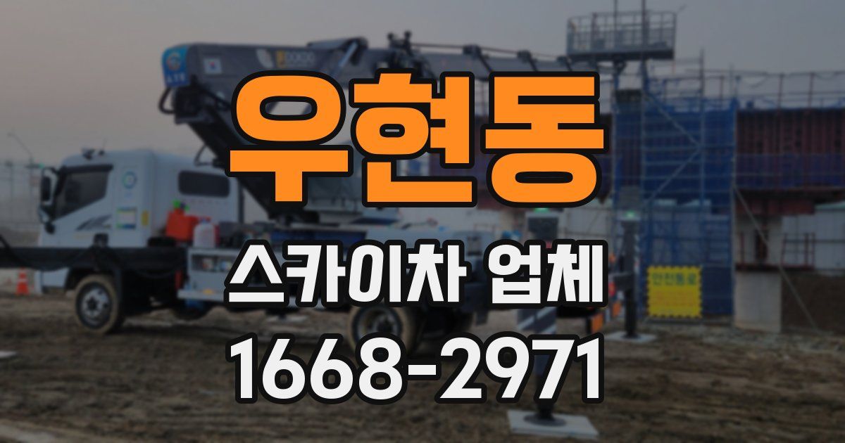 우현동 스카이차 업체