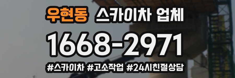 우현동 스카이차 업체
