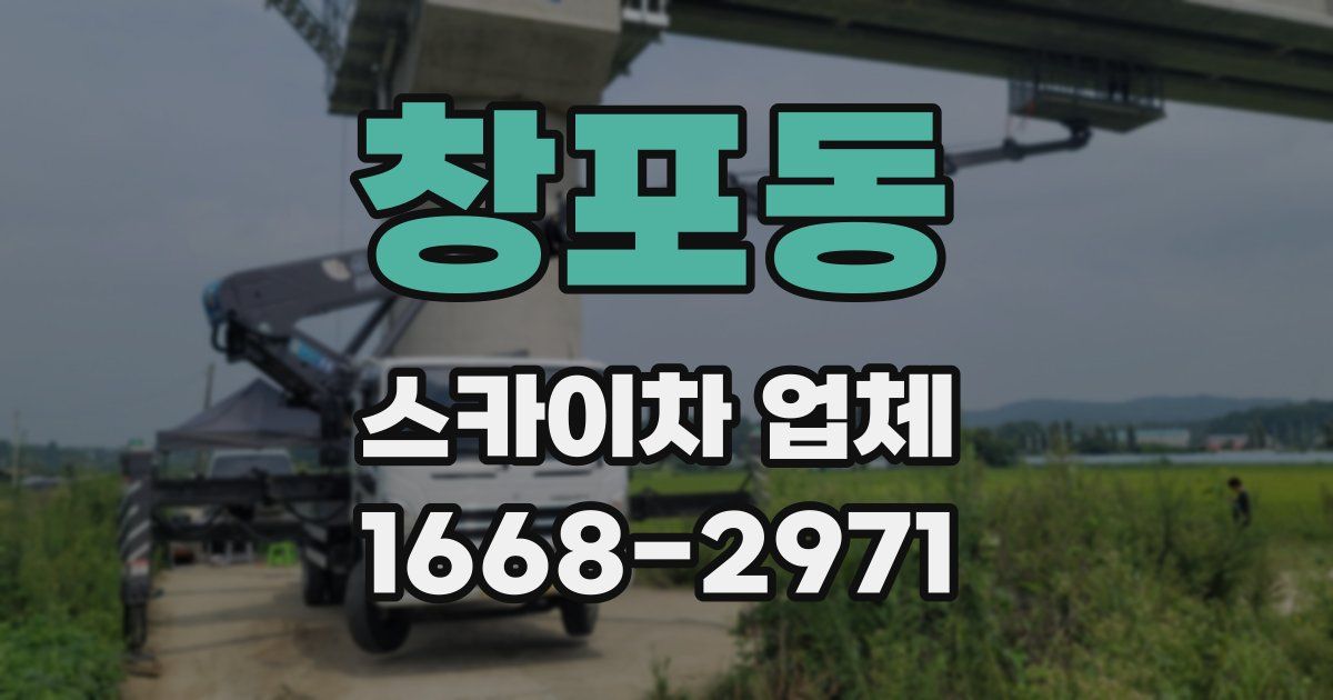 창포동 스카이차 업체