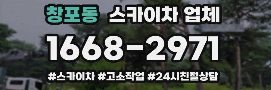 창포동 스카이차 업체