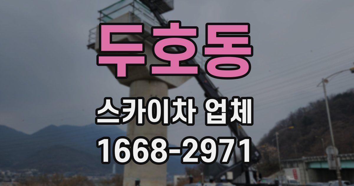 두호동 스카이차 업체
