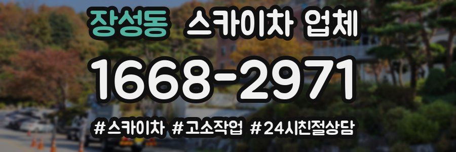 장성동 스카이차 업체