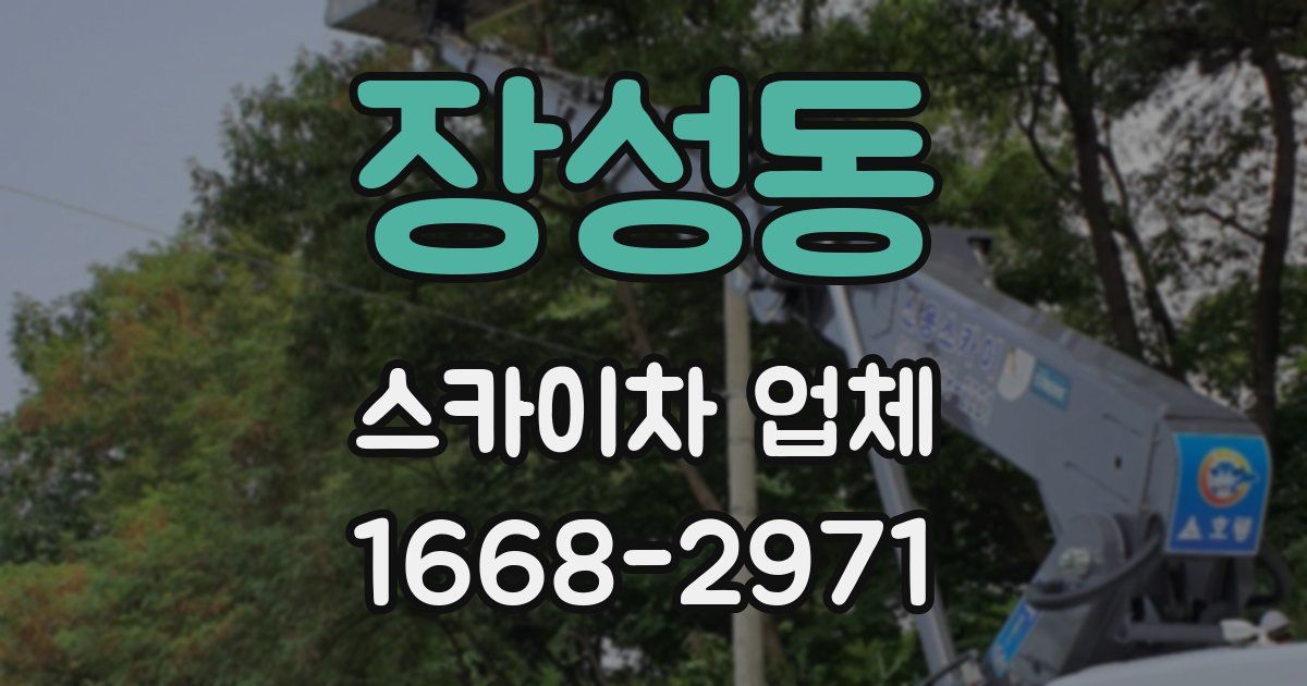 장성동 스카이차 업체