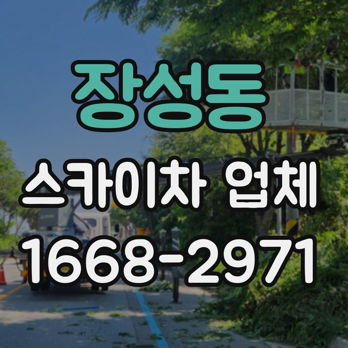 장성동 스카이차 업체